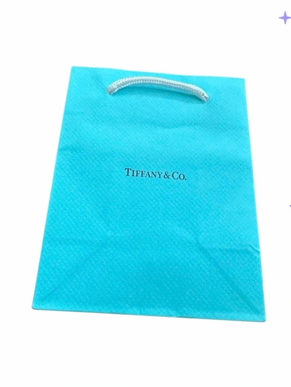 Tiffany & Co. Iconic Blue Gift Bag